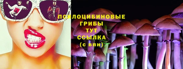 PSILOCYBIN Армянск