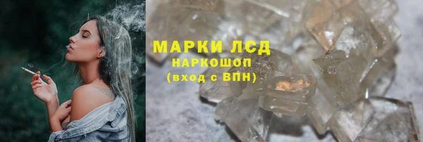 PSILOCYBIN Армянск