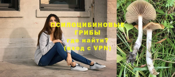 дурь Остров