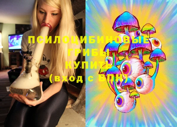 шишки Балахна