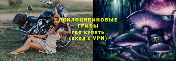 шишки Балахна
