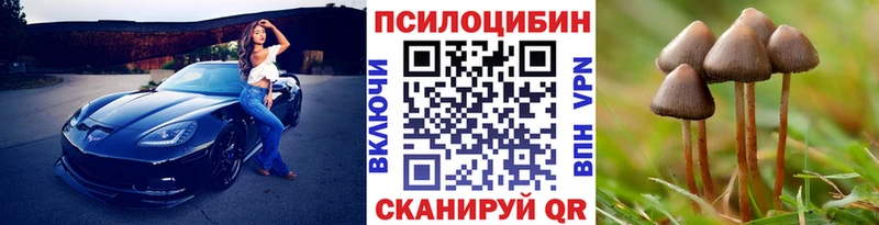 Галлюциногенные грибы Magic Shrooms  Сретенск 